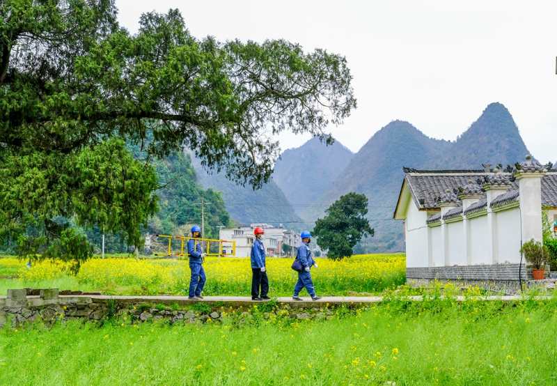 平塘供電局：“網(wǎng)格化”服務，護航“菜籃子”