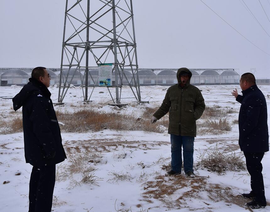 二連浩特供電公司：開展客戶側(cè)安全檢查，確?？诎犊蛻粝楹兔髁吝^春節(jié)
