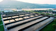 不用燒、不用填 生物處理技術(shù)出手，垃圾成資源