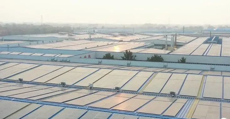 投資達9億！山東寒亭區(qū)447MW整縣分布式光伏項目正式啟動