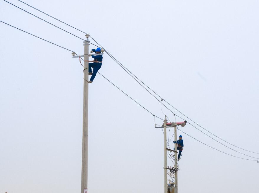 阿拉善供電公司：電網(wǎng)健康“體檢”，從登桿開始