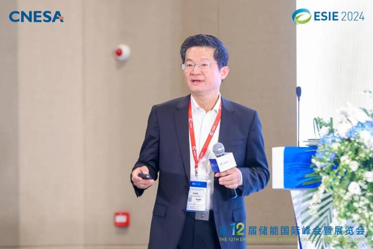 林澤波：儲能企業(yè)出海不是價(jià)格競爭，而是以定制優(yōu)質(zhì)產(chǎn)品和服務(wù)實(shí)現(xiàn)可持續(xù)發(fā)展