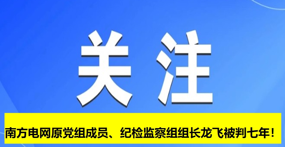 南方電網(wǎng)原黨組成員、紀(jì)檢監(jiān)察組組長龍飛被判